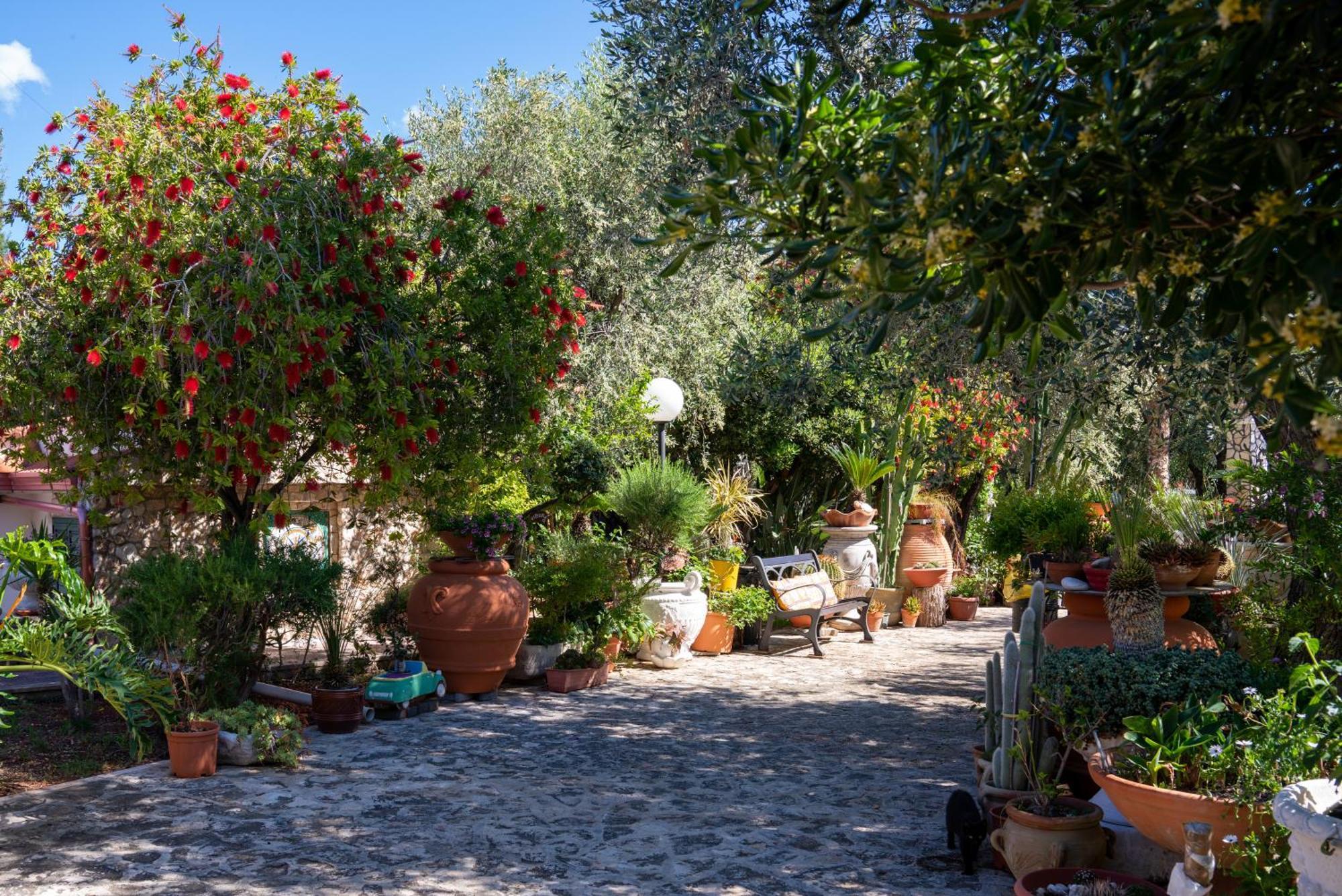 Macchione Casa rural
